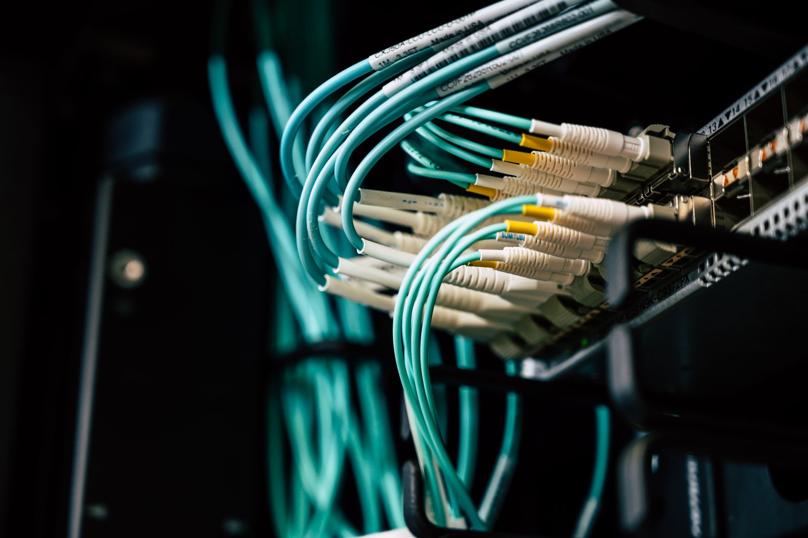 Labeled fiber cables plugged into correct switch ports, symbolizing type-safe data pipelines