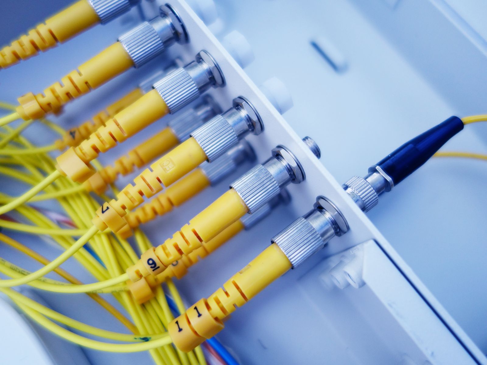 Yellow fiber-optic cables plugged into a network patch panel for real-time data