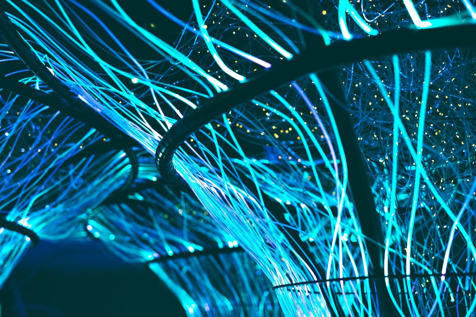 Glowing blue optical fiber network symbolizing the WordPress developer community