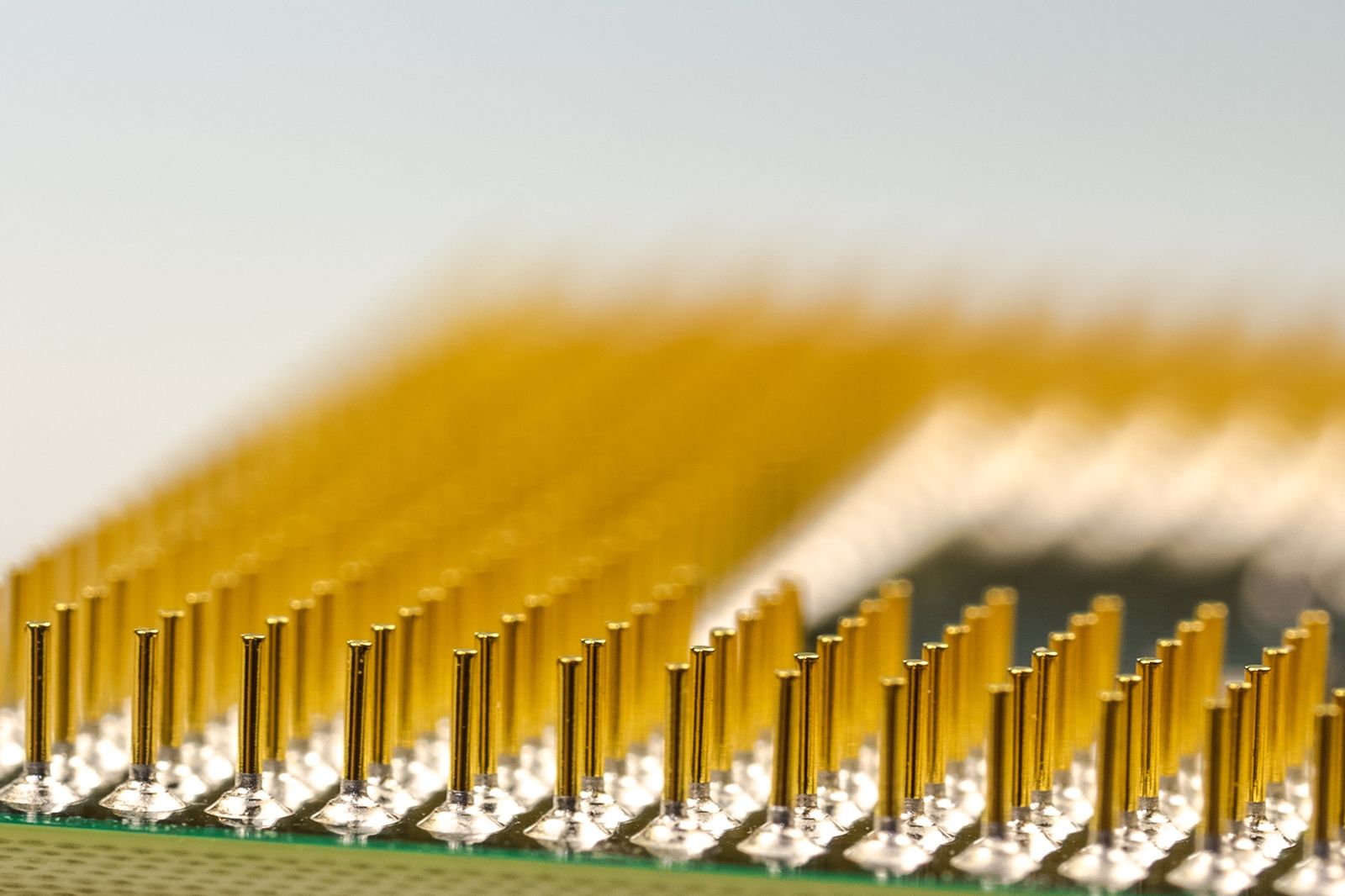 Macro shot of gold CPU pins symbolizing near-native WebAssembly performance